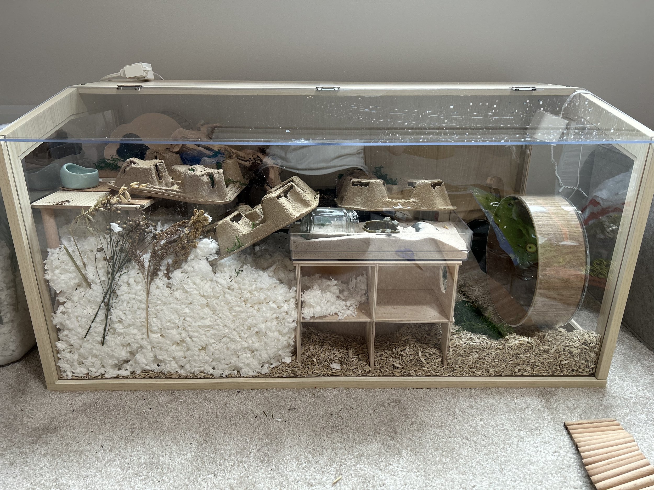 The Hamster Habitat Upgrade