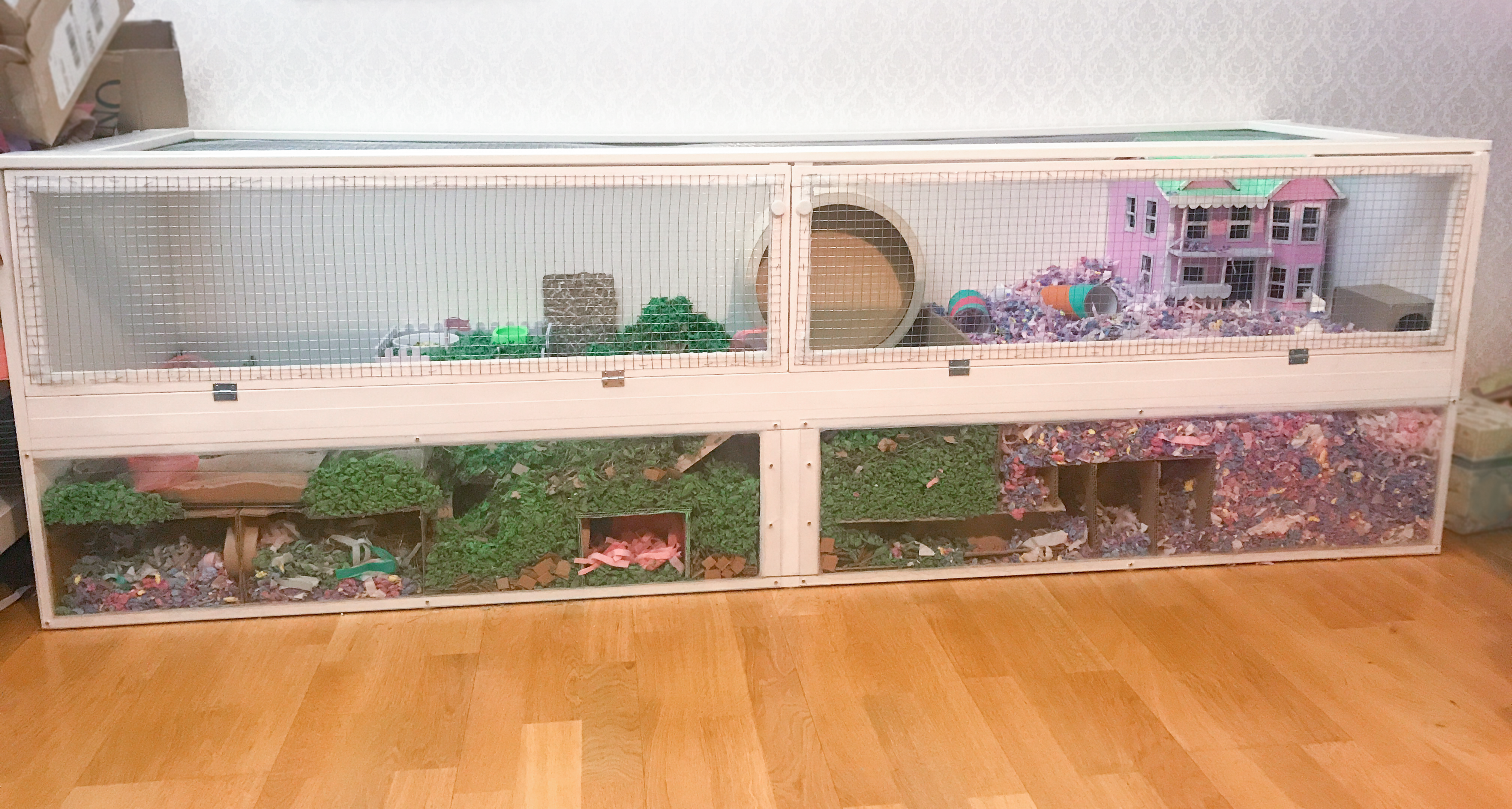 2026 Hamster Habitat guide: Choosing the Best Hamster Cage for Dwarf Hamster Lifespan & Health