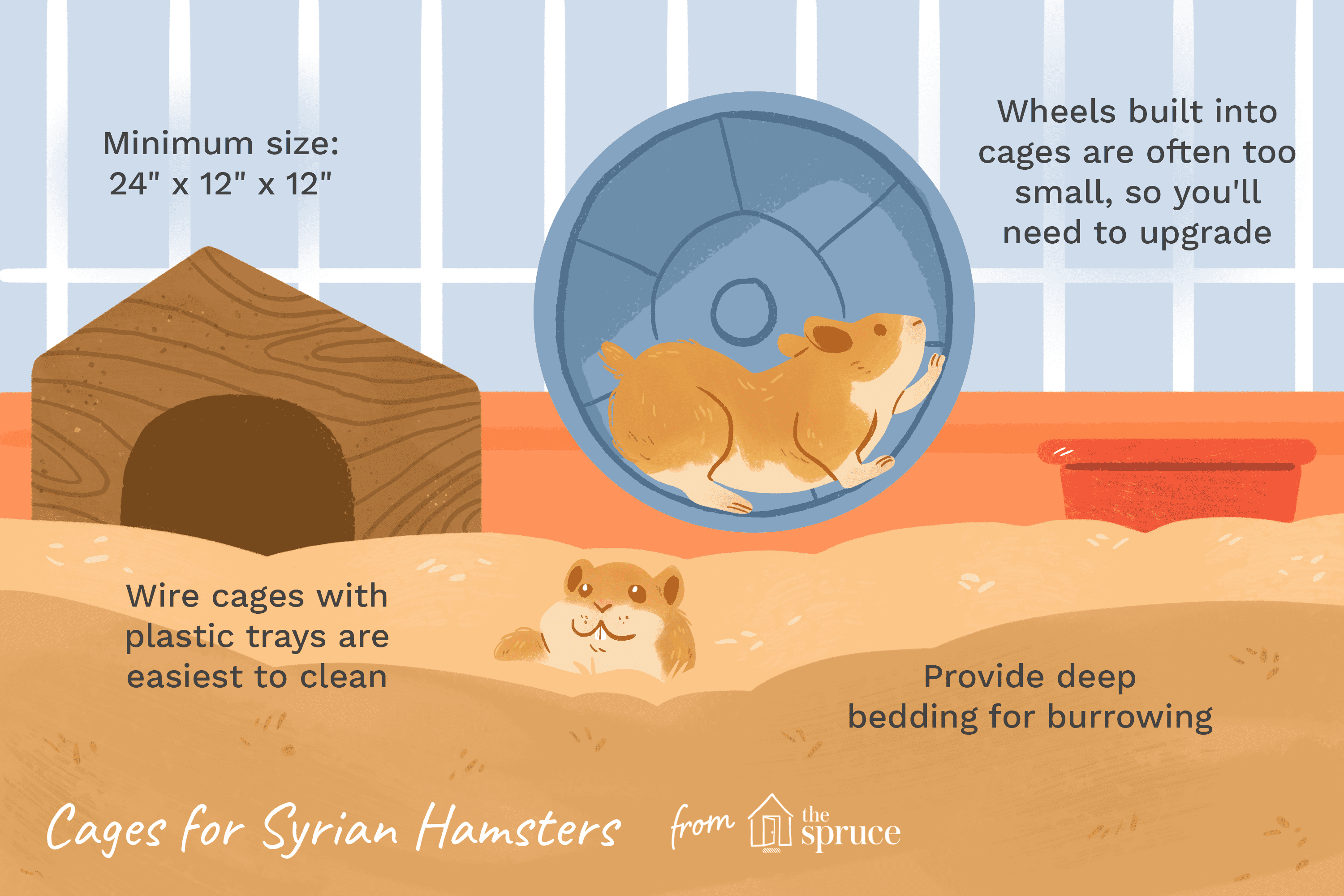 Hamster Habitat Upgrade