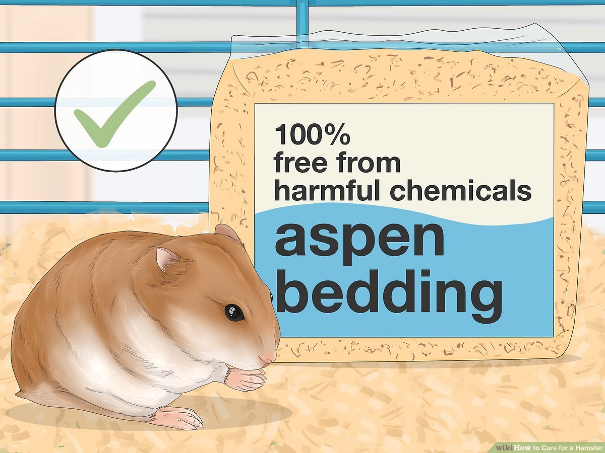 2026 Hamster Care guide: Choosing the Best Hamster Cage and Habitat for Dwarf Hamster Lifespan