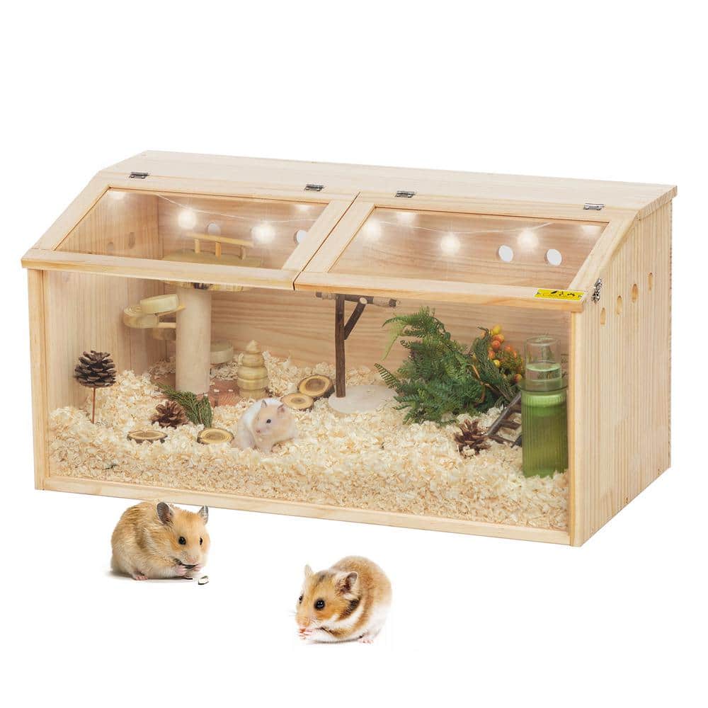 Hamster Habitat