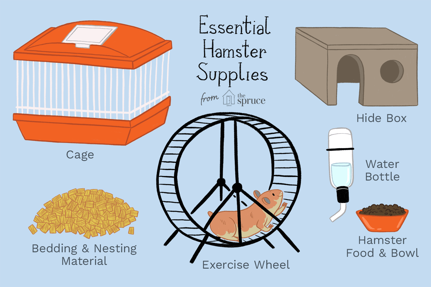 Hamster Care