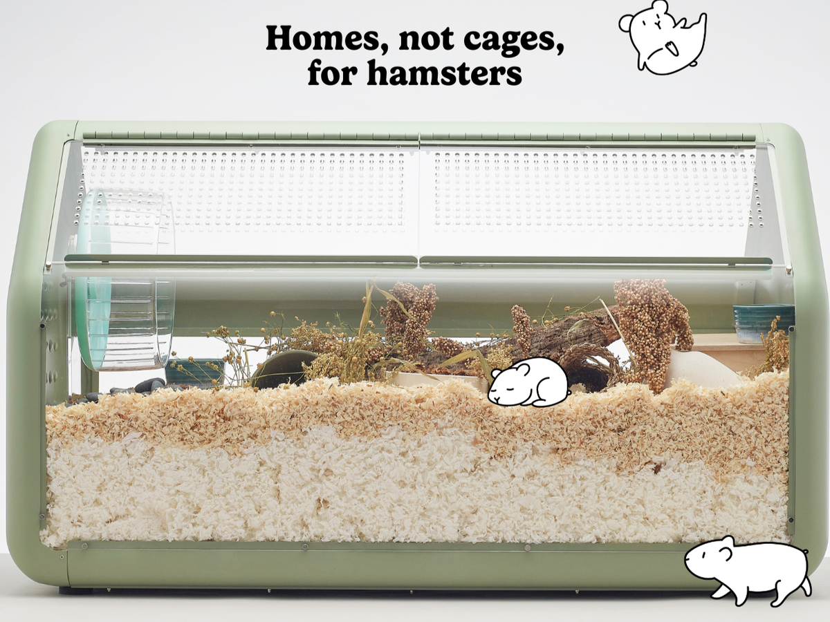 Hamster Now: The Best Cages and Habitat Setup Guide for Dwarf Hamsters