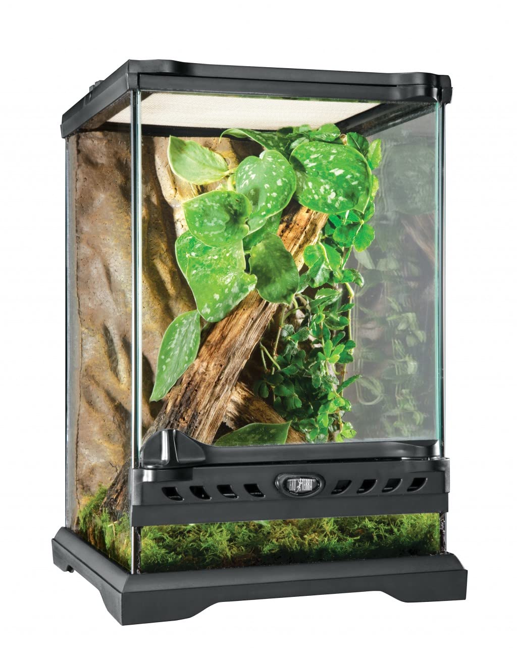 Exo Terra Glass Terrarium