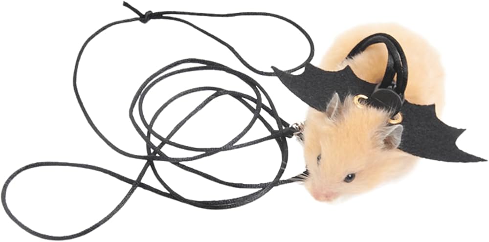 hamsternow accessory