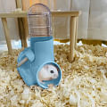 hamster water bottle