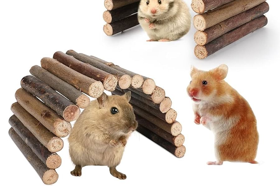 hamster chew toys