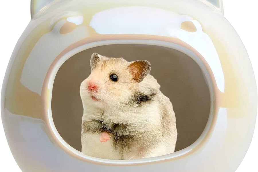 hamster nesting area cage