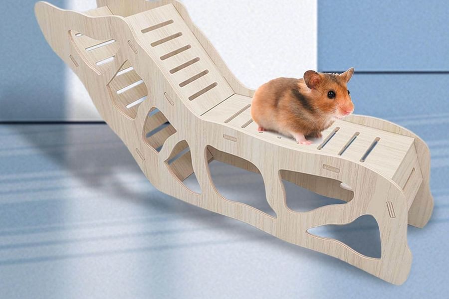 hamster climbing frames