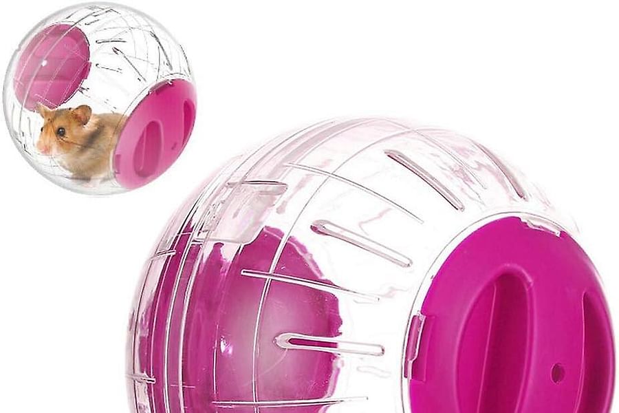 hamster exercise wheel