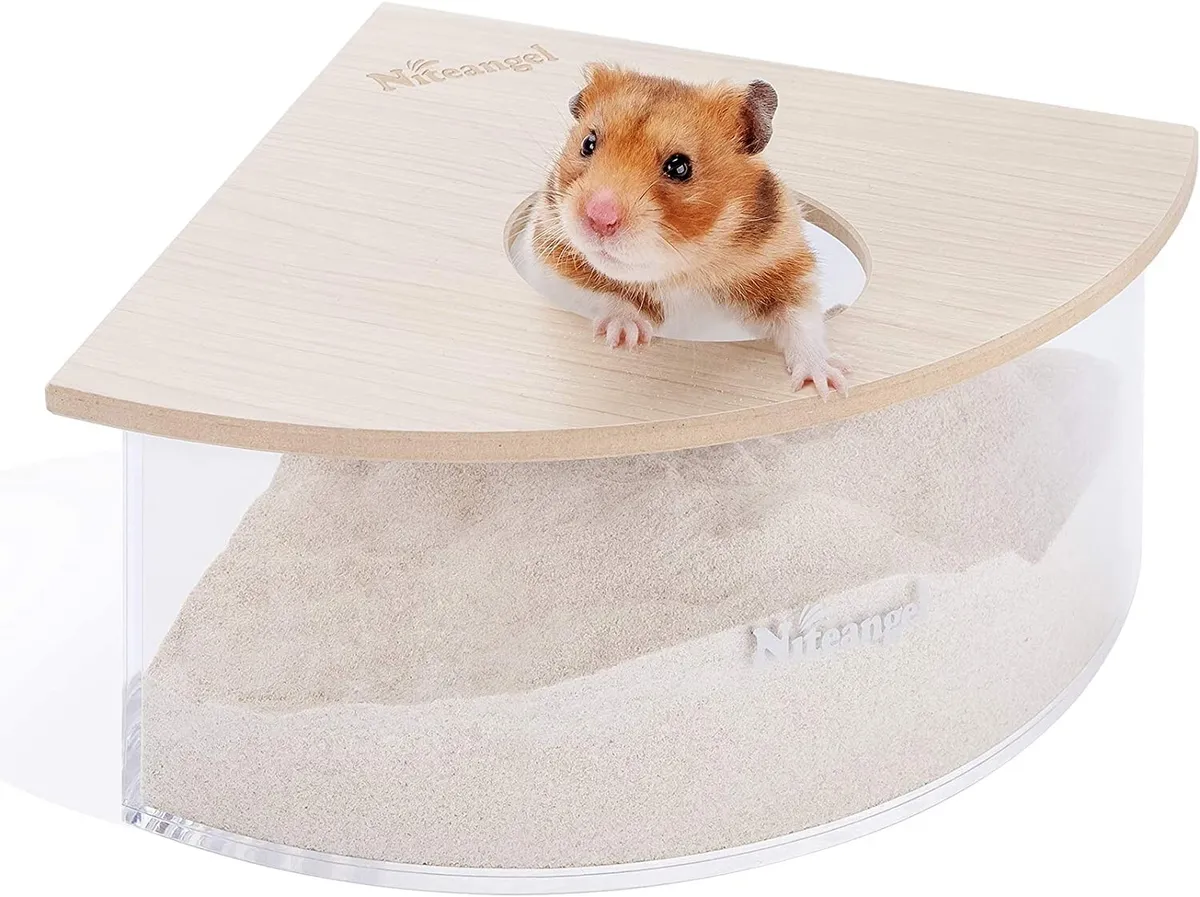 hamster sand bath