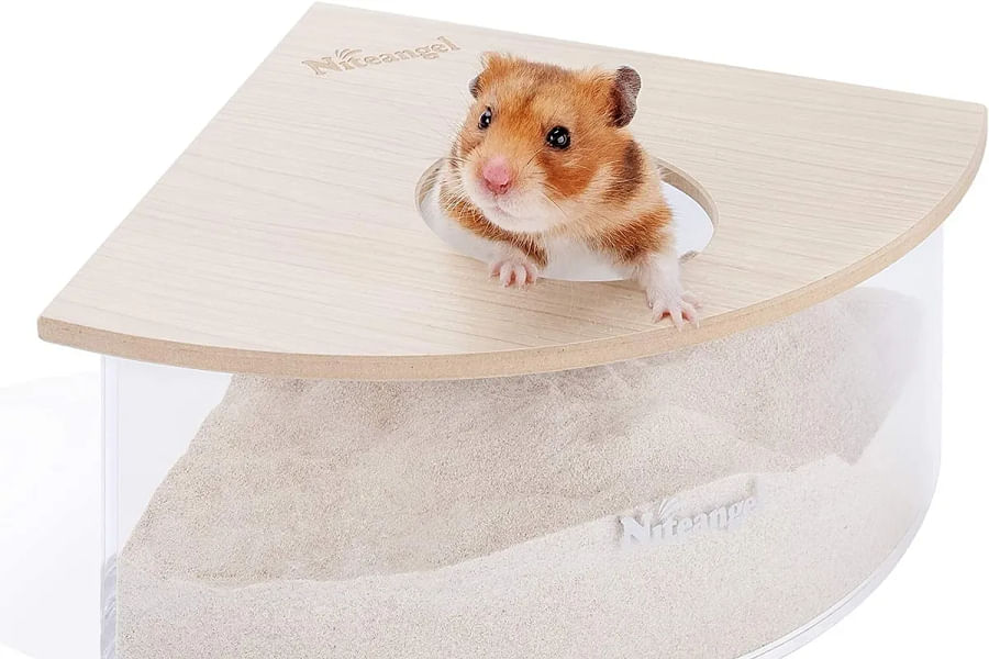 hamster sand bath