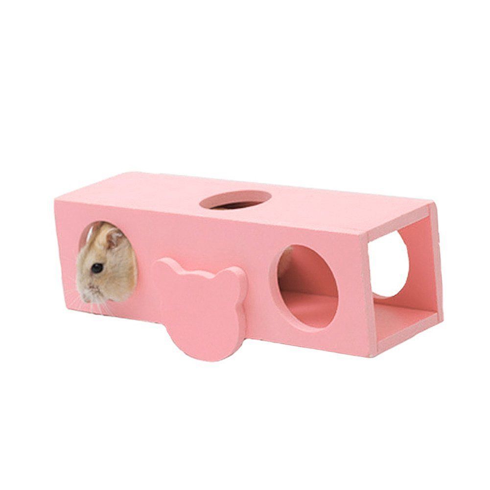 Night Owls of the Rodent World Understanding Your Hamster's Nocturnal Habits