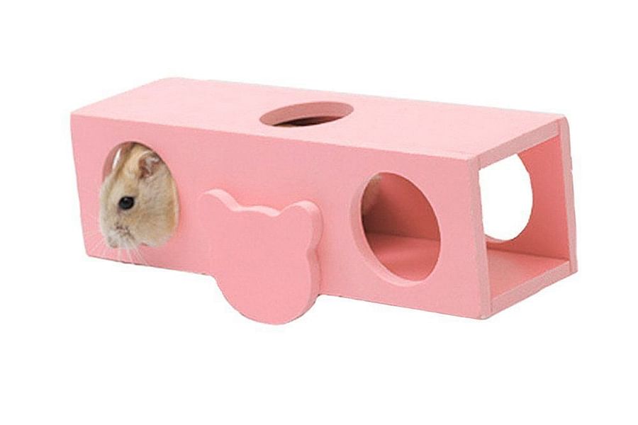 hamster see-saw tubes