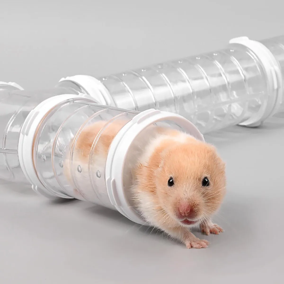 hamster tunnel system