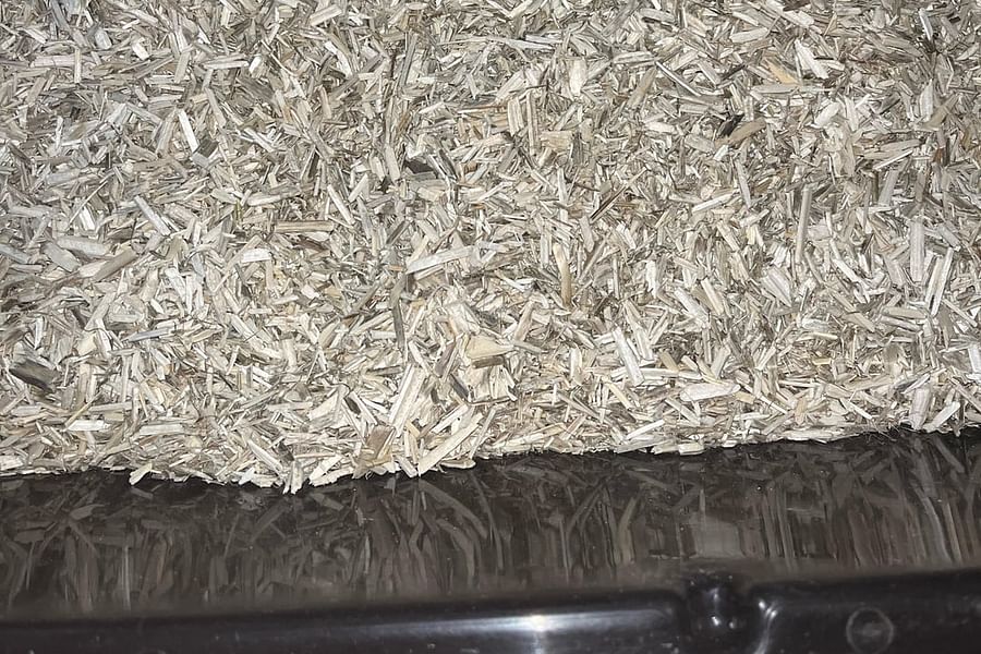 hemp bedding for small pets