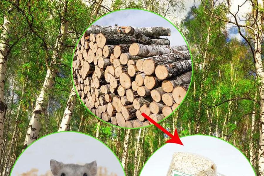 organic cotton bedding for hamsters