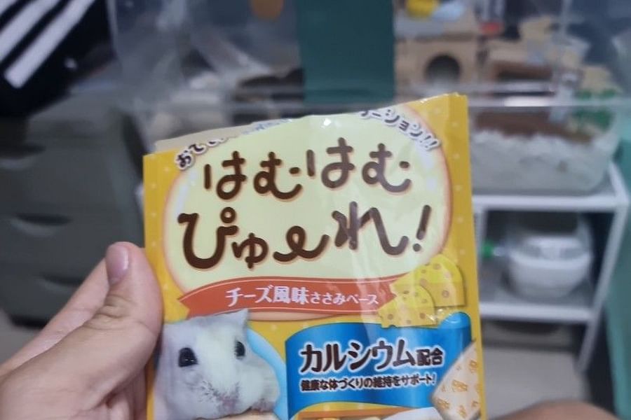 hamster cheese treats