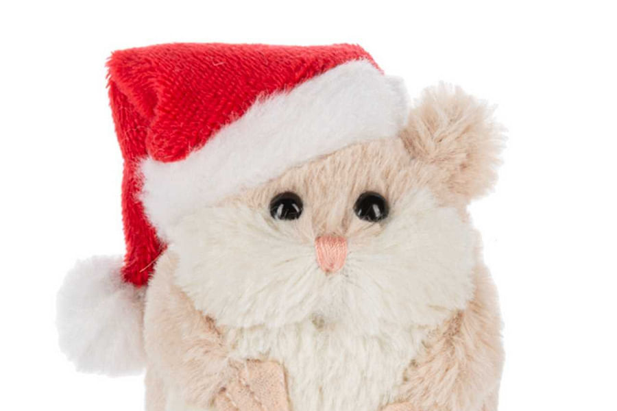 hamster fruit nut platter