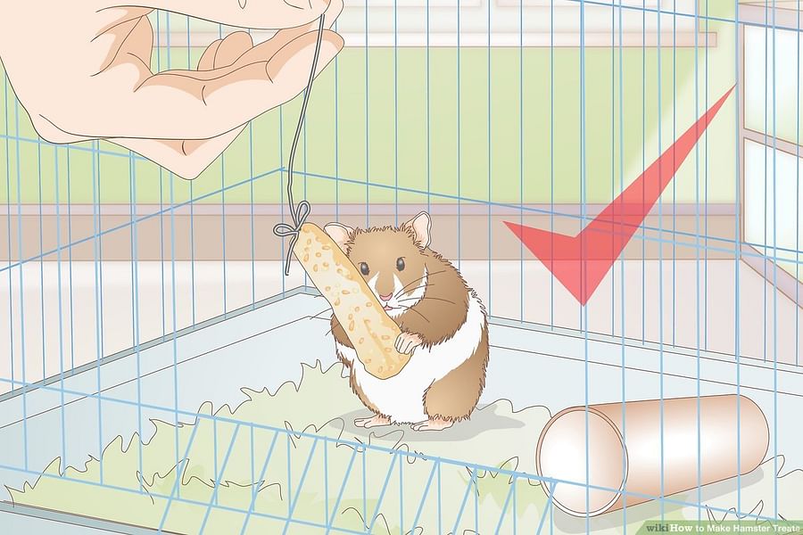 homemade carrot treats for hamsters