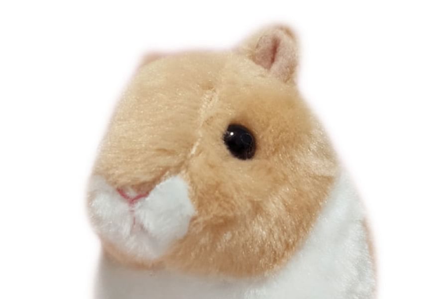 hamster safe stuffed animals