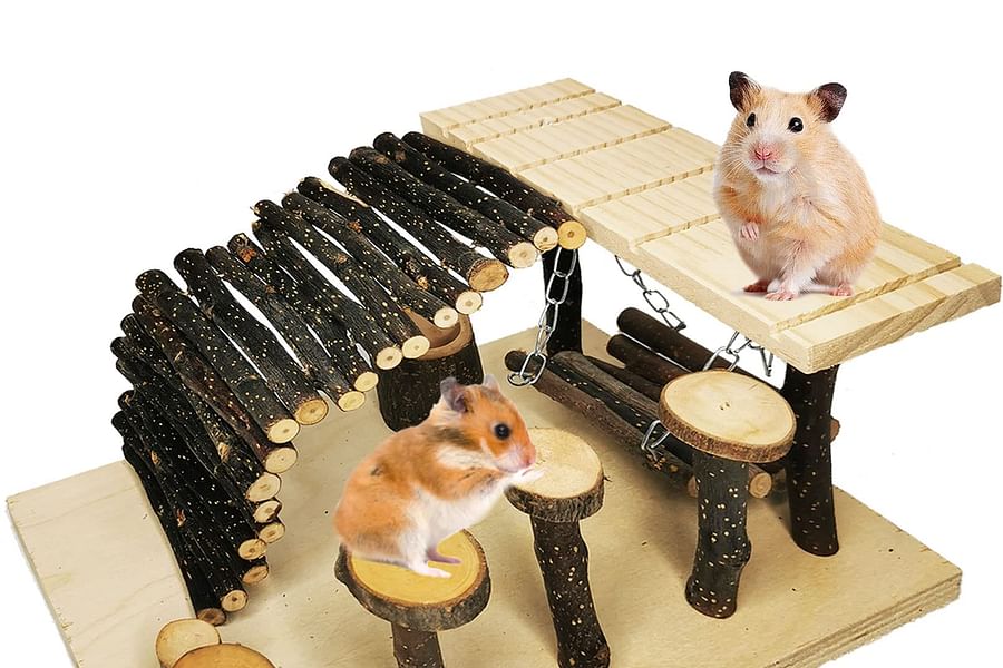 soft wooden chew toys for hamsters
