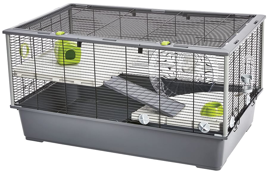 Well-equipped hamster cage with toys and accessories