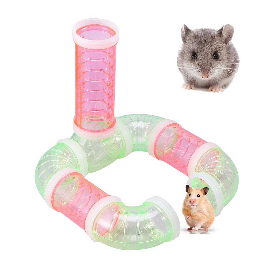 Colorful assortment of hamster treats including seed sticks, <a href='https://www.amazon.com/dp/B000MCZUN8?ie=UTF8&tag=brandnearby-20' target='_blank' rel='nofollow noreferrer' class='amazon-link'>yogurt drops</a>, and dried fruits