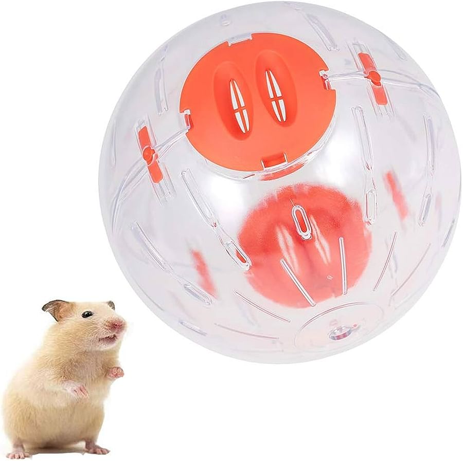 Adorable hamster energetically running inside a transparent exercise ball