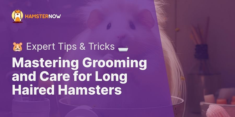 Mastering Grooming and Care for Long Haired Hamsters - 🐹 Expert Tips & Tricks 🛁