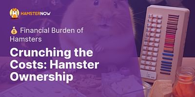 Crunching the Costs: Hamster Ownership - 💰 Financial Burden of Hamsters