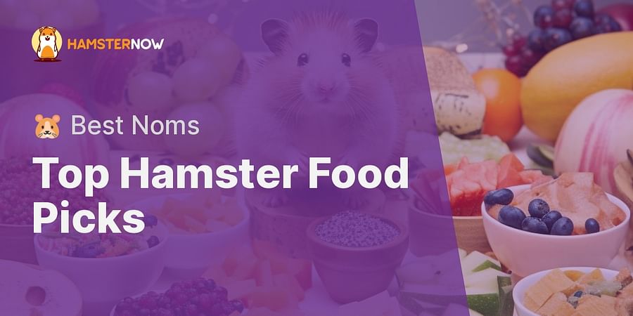 Top Hamster Food Picks - 🐹 Best Noms