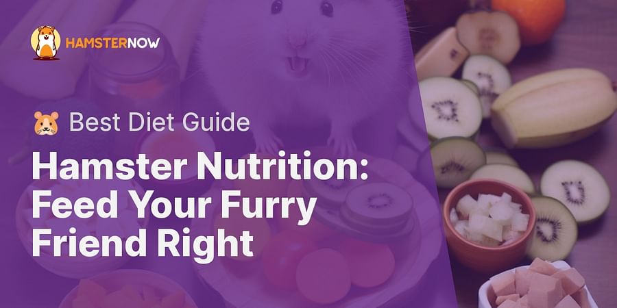 Hamster Nutrition: Feed Your Furry Friend Right - 🐹 Best Diet Guide