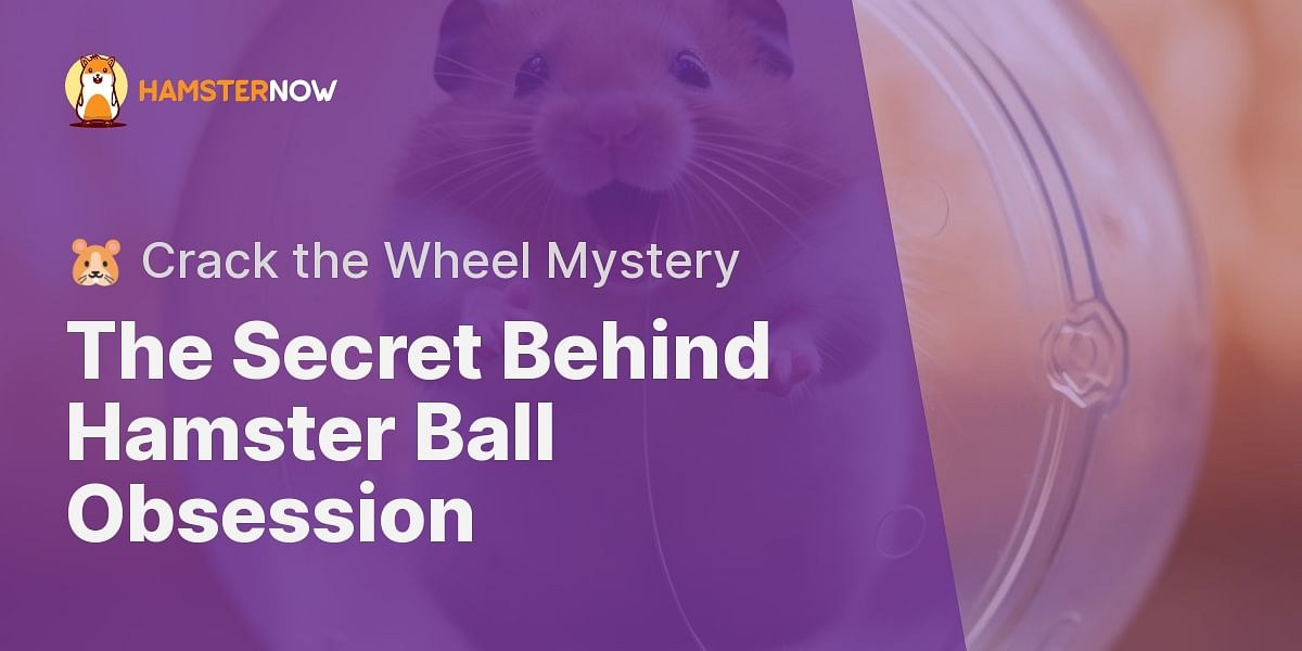 Why Your Hamster Loves Their Ball Exploring Hamster Exercise Habits