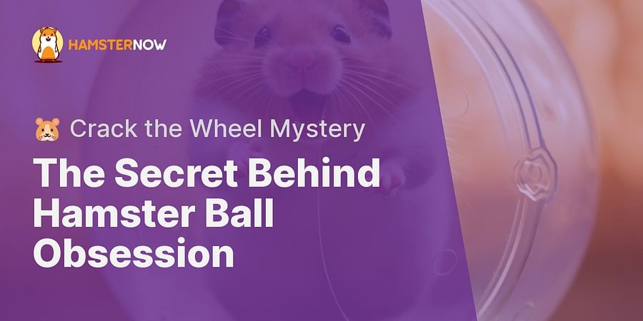 The Secret Behind Hamster Ball Obsession - 🐹 Crack the Wheel Mystery