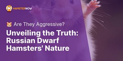 Unveiling the Truth: Russian Dwarf Hamsters' Nature - 🐹 Are They Aggressive?
