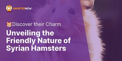 Unveiling the Friendly Nature of Syrian Hamsters - 🐹Discover their Charm