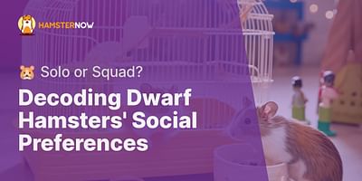 Decoding Dwarf Hamsters' Social Preferences - 🐹 Solo or Squad?