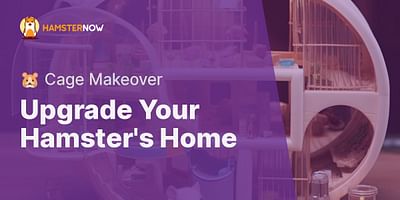 Upgrade Your Hamster's Home - 🐹 Cage Makeover