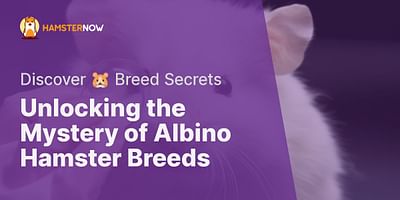 Unlocking the Mystery of Albino Hamster Breeds - Discover 🐹 Breed Secrets