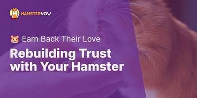 Rebuilding Trust with Your Hamster - 🐹 Earn Back Their Love