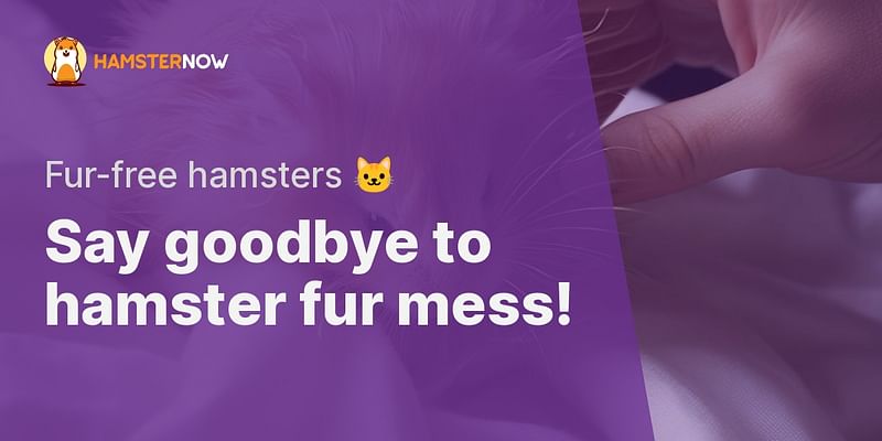 Say goodbye to hamster fur mess! - Fur-free hamsters 🐱