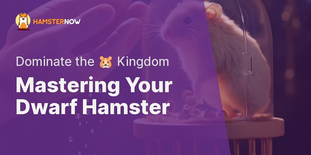 How Can I Tame My Dwarf Hamster?