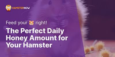 The Perfect Daily Honey Amount for Your Hamster - Feed your 🐹 right!