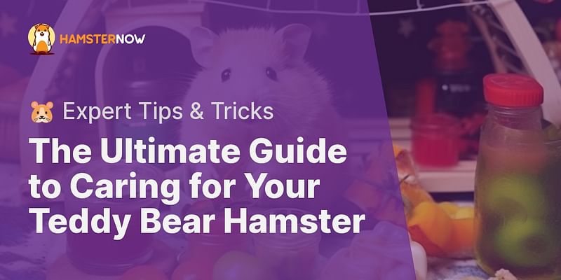 The Ultimate Guide to Caring for Your Teddy Bear Hamster - 🐹 Expert Tips & Tricks