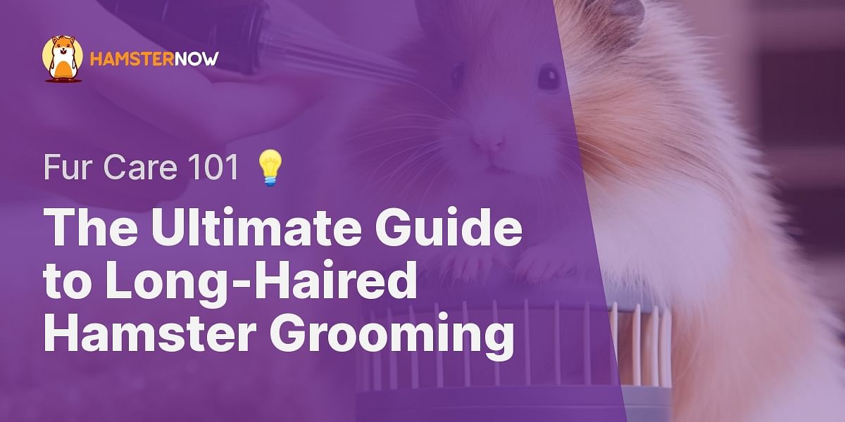 How should I clean my longhaired hamster?