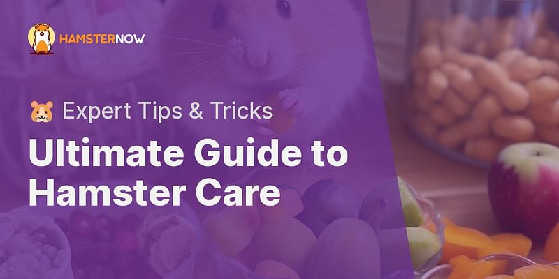 Ultimate Guide to Hamster Care - 🐹 Expert Tips & Tricks