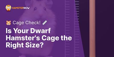 Is Your Dwarf Hamster's Cage the Right Size? - 🐹 Cage Check! 📏