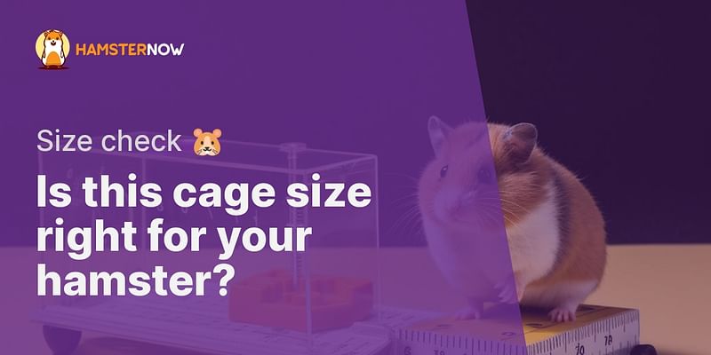 Is this cage size right for your hamster? - Size check 🐹