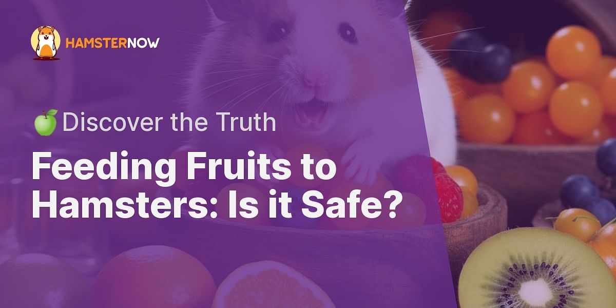 Is it safe to feed fruits and vegetables to my hamster?
